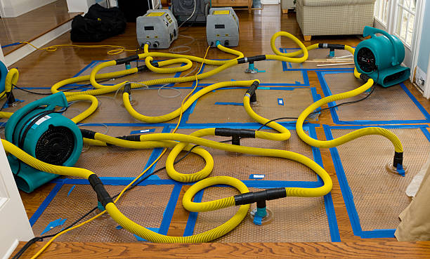 Professional Water Damage Repair technician working in Hewitt, TX
